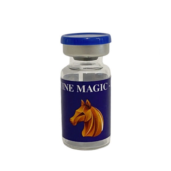equine-magic-blue